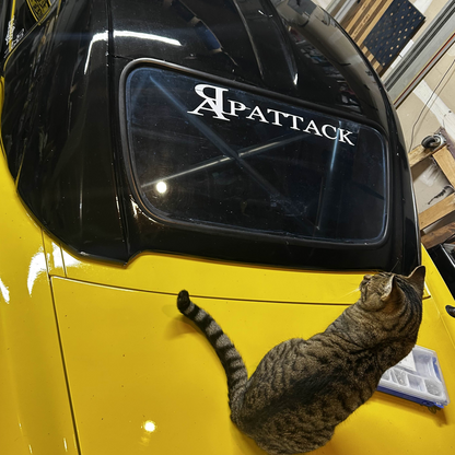 Project Attack Original Banner